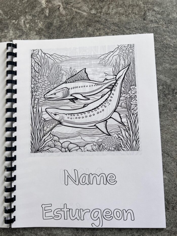 Livre à colorier des animaux de la forêt abitibienne, mot de vocabulaire, algonquin, français – Image 8