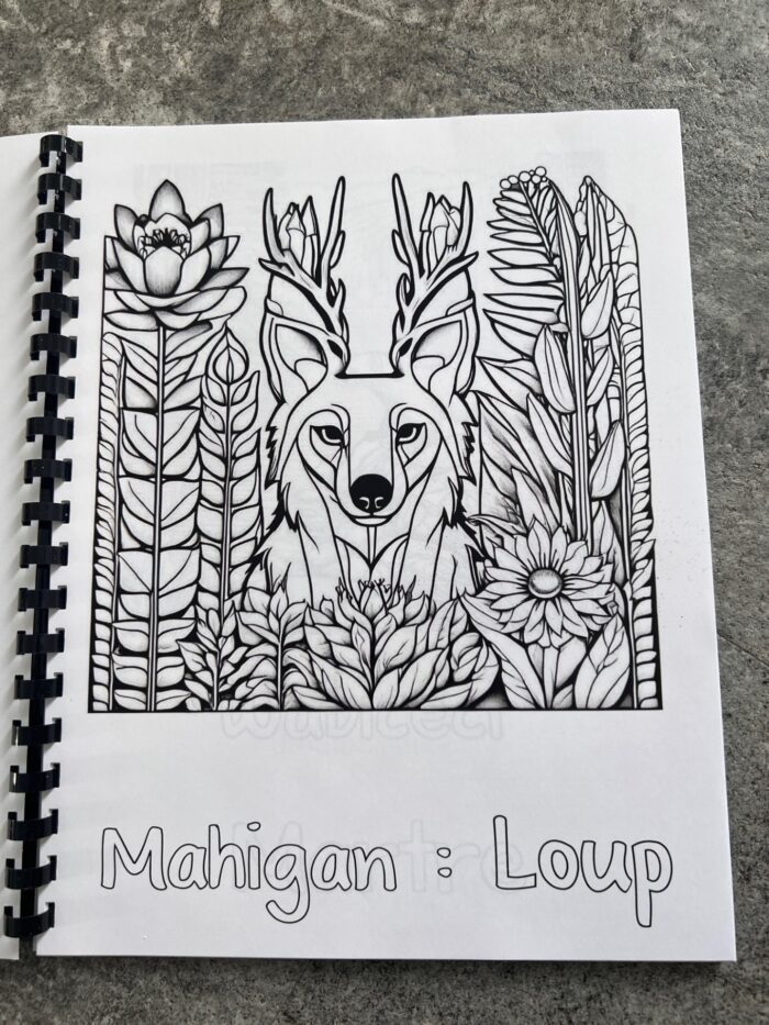 Livre à colorier des animaux de la forêt abitibienne, mot de vocabulaire, algonquin, français – Image 7