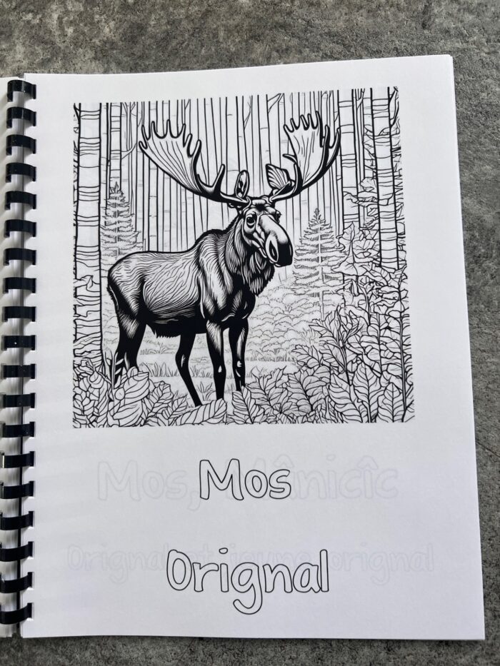 Livre à colorier des animaux de la forêt abitibienne, mot de vocabulaire, algonquin, français – Image 6