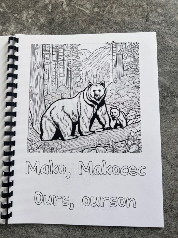 Livre à colorier des animaux de la forêt abitibienne, mot de vocabulaire, algonquin, français – Image 5