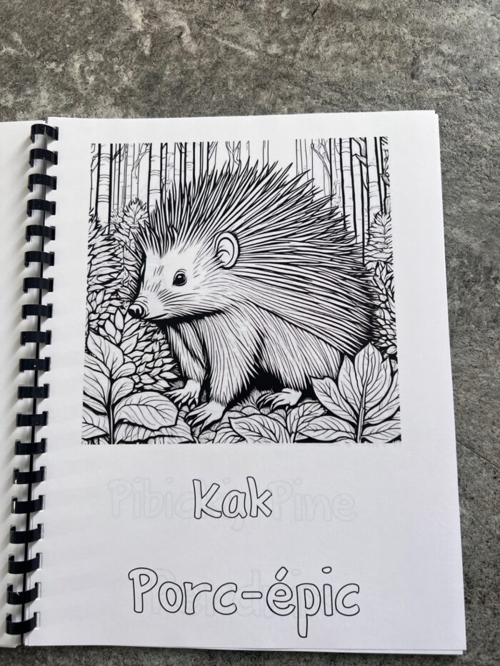 Livre à colorier des animaux de la forêt abitibienne, mot de vocabulaire, algonquin, français – Image 4