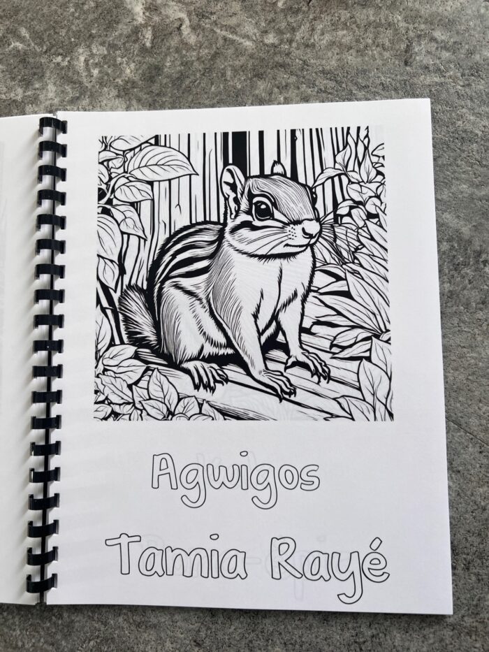 Livre à colorier des animaux de la forêt abitibienne, mot de vocabulaire, algonquin, français – Image 3